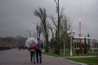 Дожди с грозами ожидаются на выходных в Ташкенте